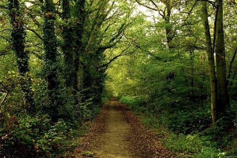 Forest Jigsaw Puzzles - عکس بازی موبایلی اندروید