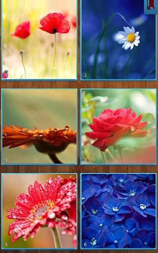 Flower Jigsaw Puzzles - عکس بازی موبایلی اندروید