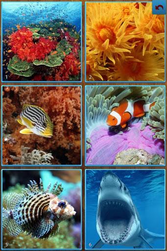Sea Life Jigsaw Puzzles - Gameplay image of android game