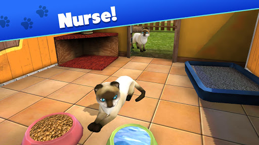 Pet World - My animal shelter Game for Android - Download | Cafe Bazaar