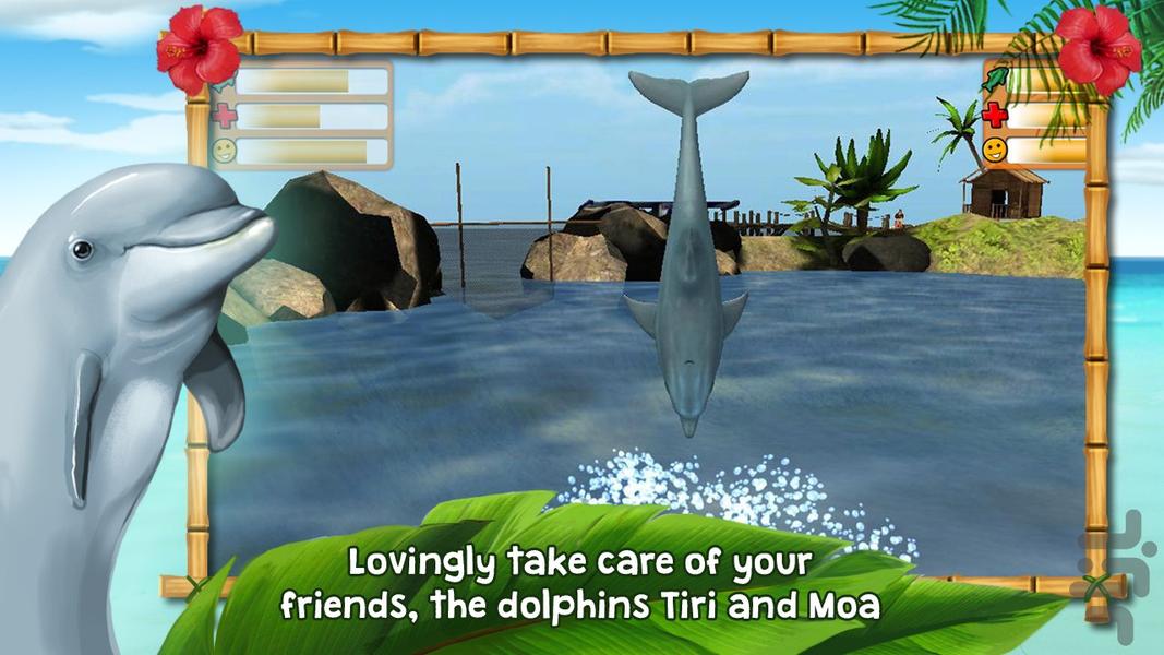Dolphins of the Caribbean - Gameplay image of android game