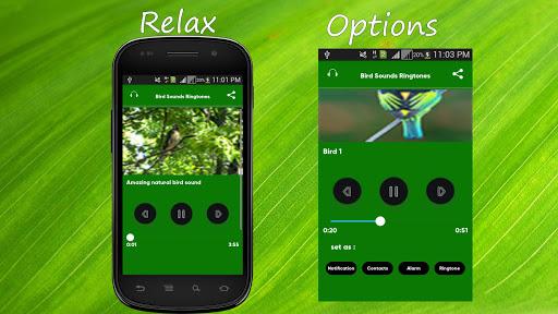 Bird Sounds Ringtones - Image screenshot of android app