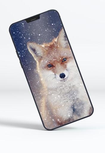 Fox Wallpapers - عکس برنامه موبایلی اندروید