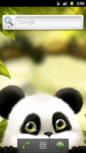 Panda Chub Live Wallpaper Free - Image screenshot of android app