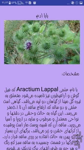 گیاهان دارویی۲ - عکس برنامه موبایلی اندروید