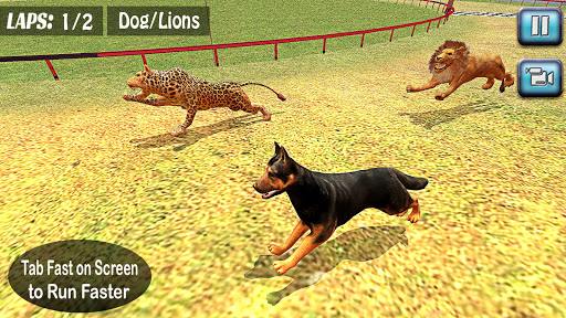 Mouse Simulator 2021: Forest Wild Life Game Sim::Appstore for  Android