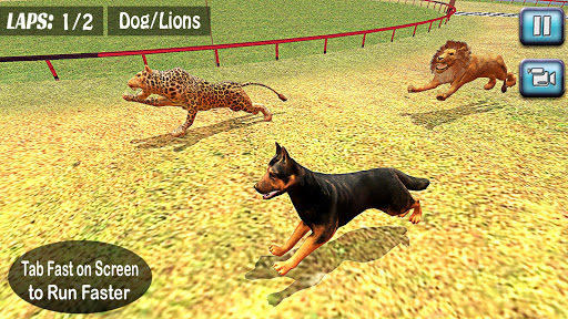 Racing Dog Simulator: Crazy Dog Racing Games APK for Android - Download