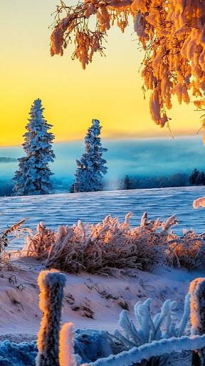 Snow wallpapers-winter - عکس برنامه موبایلی اندروید