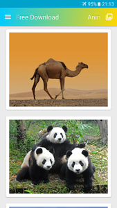 Animals Wallpaper HD for Android - Download | Cafe Bazaar Animals Wallpaper HD for Android - Download | Cafe Bazaar