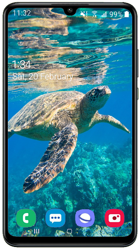 Tortoise HD wallpaper - Image screenshot of android app