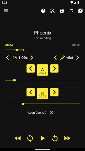Loop Player - Image screenshot of android app