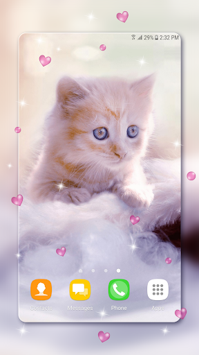 cute kittens wallpapers for mobile