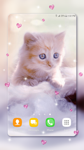 Cute Kitten Live Wallpapers - Image screenshot of android app
