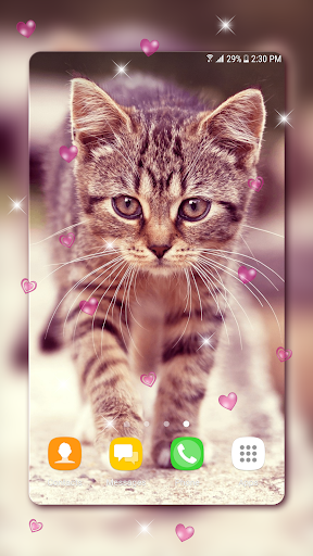 Cute Kitten Live Wallpapers - Image screenshot of android app