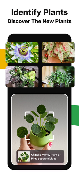 AI Lens: Object Identifier - عکس برنامه موبایلی اندروید