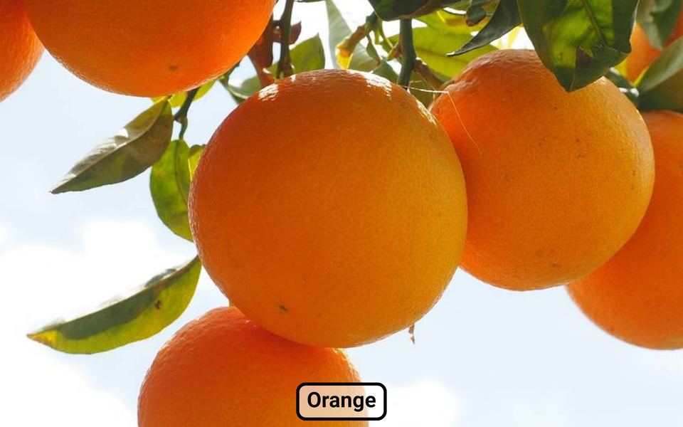 Farm animal sounds for baby - Gameplay image of android game