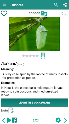 English vocabulary by picture - Image screenshot of android app