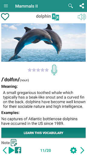 English vocabulary by picture - Image screenshot of android app