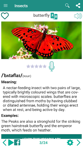 English vocabulary by picture - Image screenshot of android app