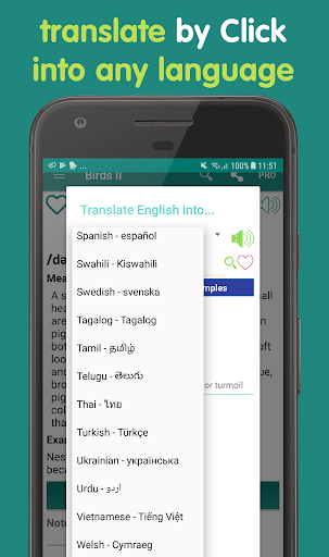 English vocabulary by picture - Image screenshot of android app