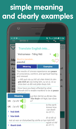 English vocabulary by picture - Image screenshot of android app