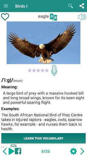 English vocabulary by picture - Image screenshot of android app