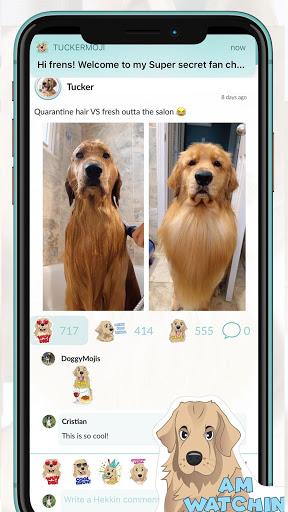 TuckerMoji - Golden Dog Sticke - Image screenshot of android app