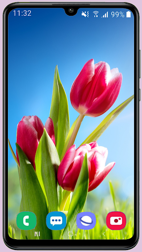 Tulips HD Wallpaper - عکس برنامه موبایلی اندروید