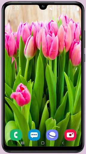 Tulips HD Wallpaper - عکس برنامه موبایلی اندروید