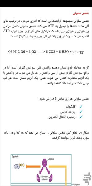 متابولیسم کربوهیدرات ها - عکس برنامه موبایلی اندروید