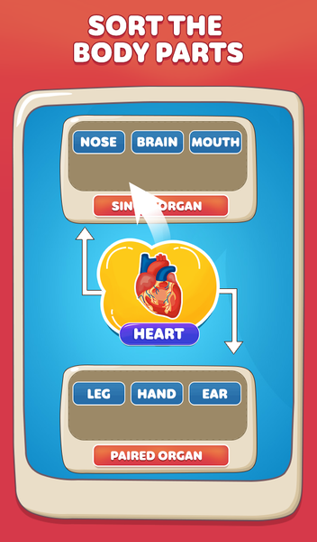Body Parts Games Kids Learning - Gameplay image of android game