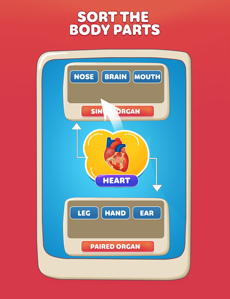 Body Parts Games Kids Learning - Gameplay image of android game