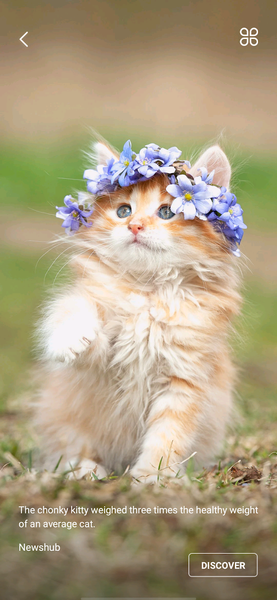 Daily Wallpaper - عکس برنامه موبایلی اندروید