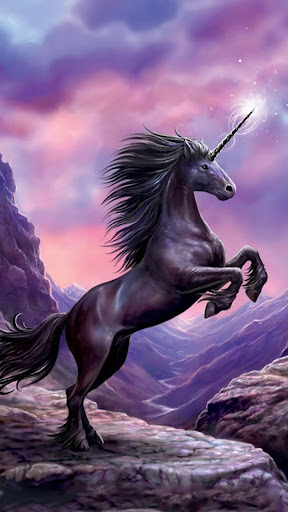 Rainbow Unicorn Wallpapers HD  Cool Pony Horses  AppRecs