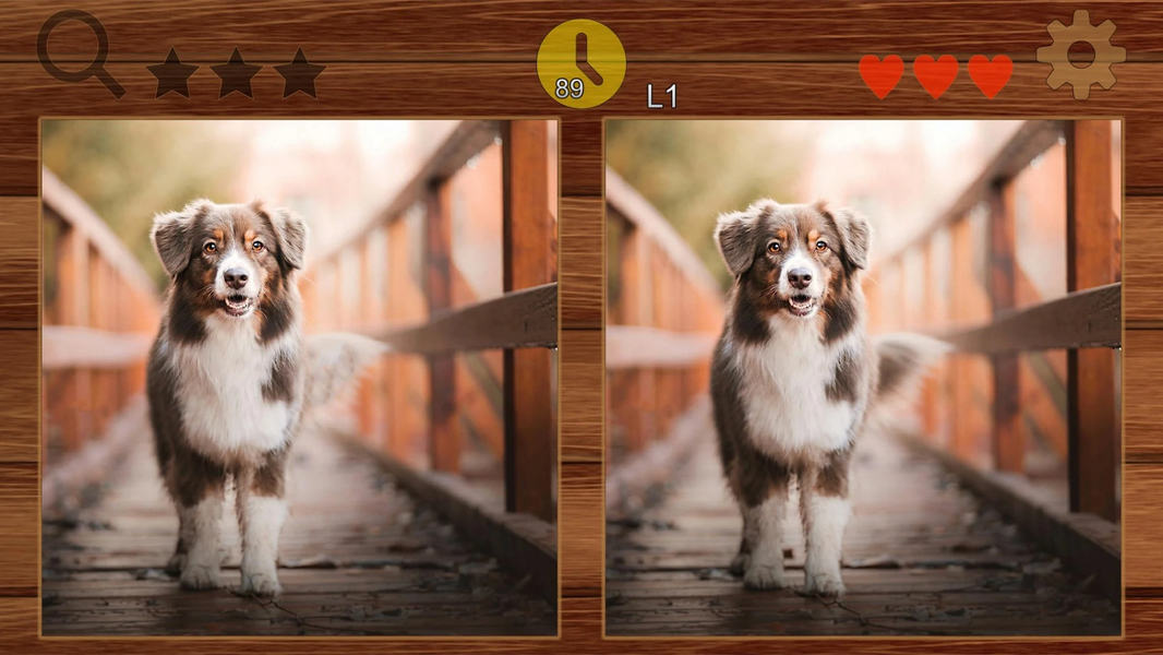 Find Different? - عکس بازی موبایلی اندروید