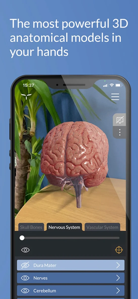 Head Atlas - Image screenshot of android app