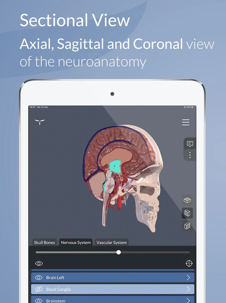 Head Atlas - Image screenshot of android app