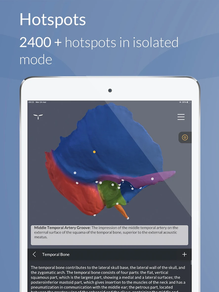 Head Atlas - Image screenshot of android app