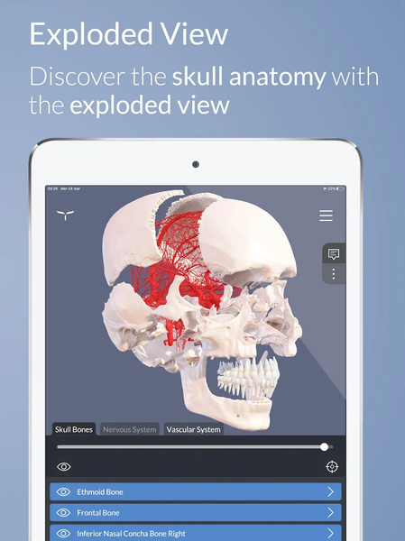 Head Atlas - Image screenshot of android app