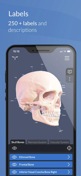 Head Atlas - Image screenshot of android app