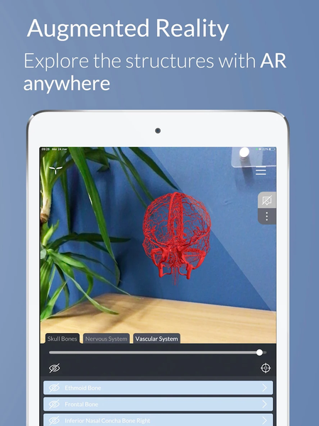 Head Atlas - Image screenshot of android app