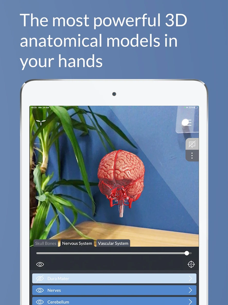 Head Atlas - Image screenshot of android app