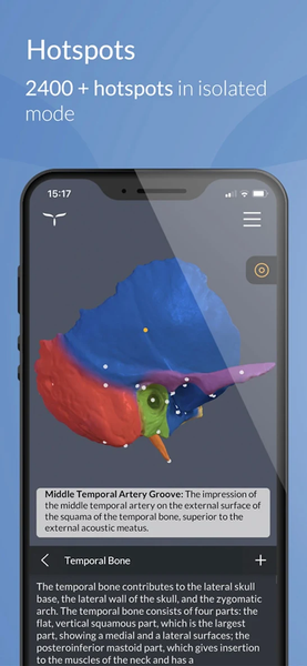 Head Atlas - Image screenshot of android app