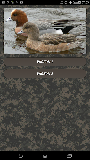 Duck hunting calls - عکس برنامه موبایلی اندروید