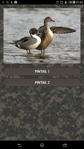 Duck hunting calls - Image screenshot of android app