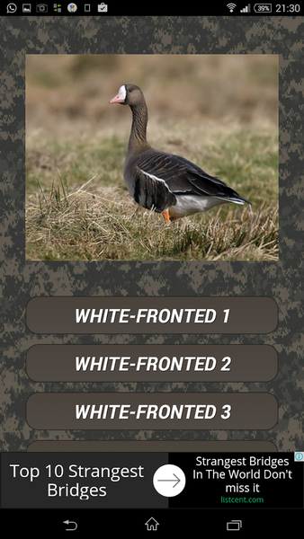 Goose hunting Calls - عکس برنامه موبایلی اندروید