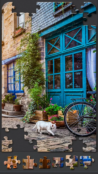 Jigsaw Puzzles for Adults - Gameplay image of android game