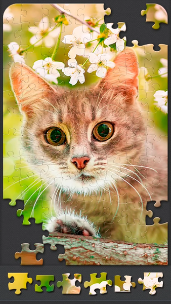 Jigsaw Puzzles for Adults - Gameplay image of android game