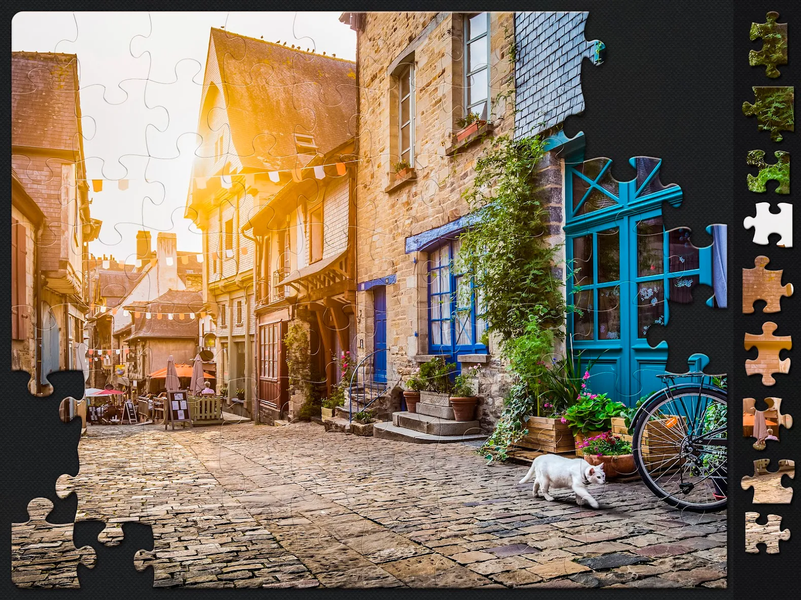 Jigsaw Puzzles for Adults - Gameplay image of android game