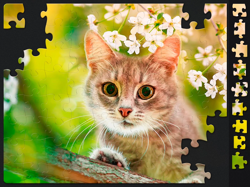 Jigsaw Puzzles for Adults - Gameplay image of android game